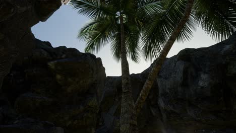 Big-Palms-in-Stone-Cave-with-Rays-of-Sunlight